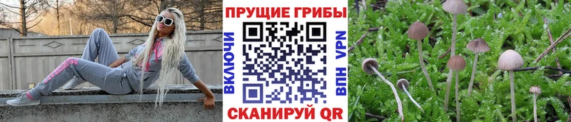 Галлюциногенные грибы прущие грибы  Купить  Киренск 